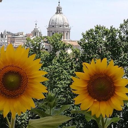 Residenza Cavallini Roma Dış mekan fotoğraf