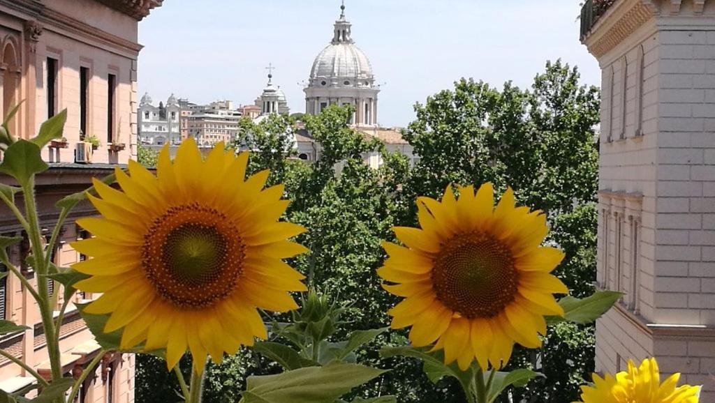 Residenza Cavallini Roma Dış mekan fotoğraf